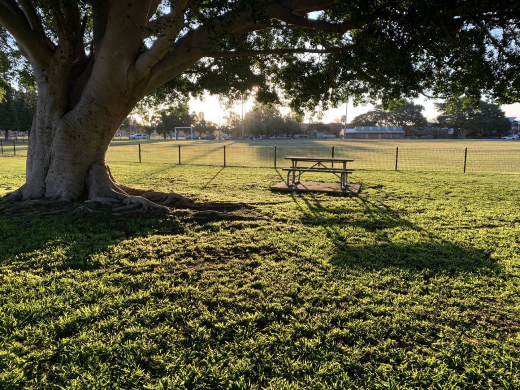 Carrington Greenspace Plan