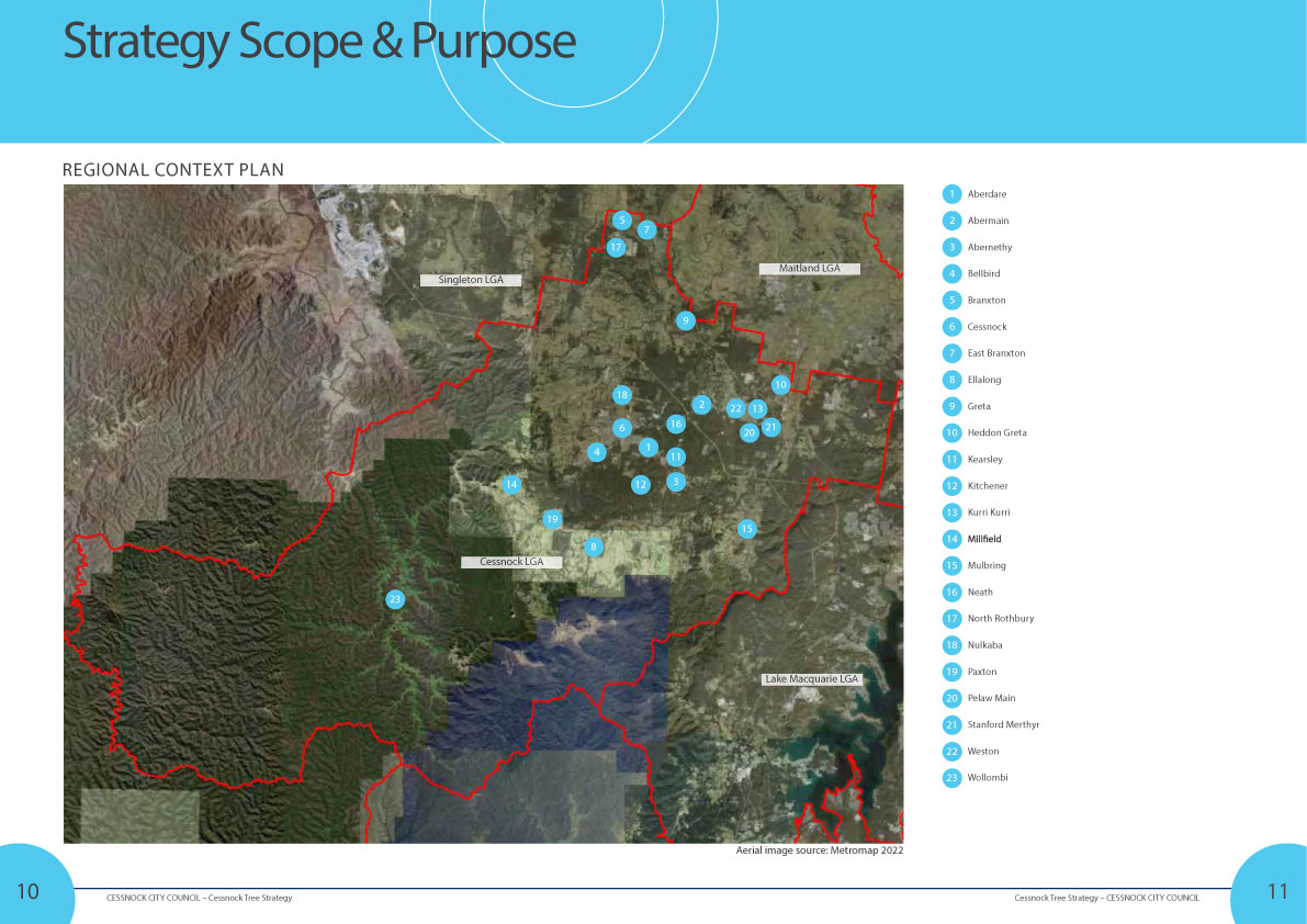 Cessnock Tree Strategy Report Rev7