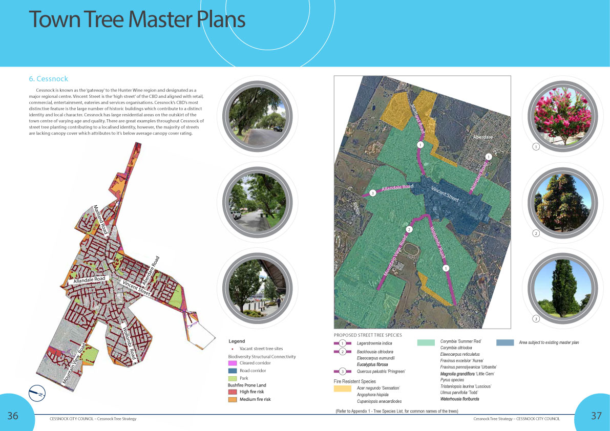 Cessnock Tree Strategy Report Rev7 2